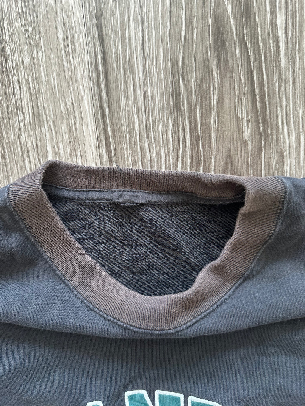 Peanuts Sport Sweatshirt